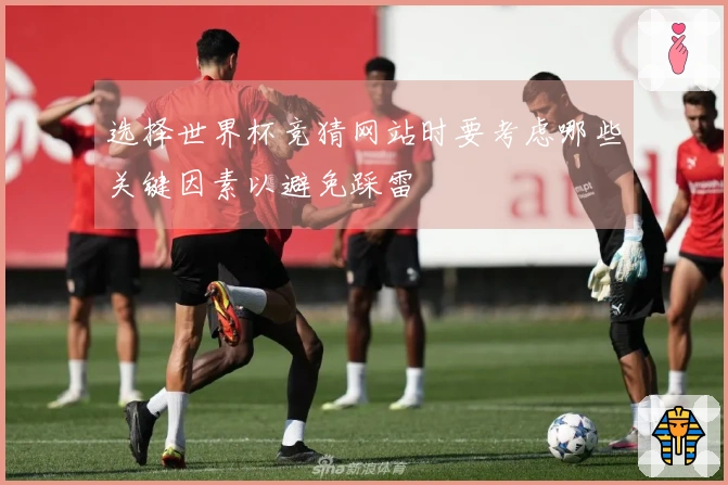选择世界杯竞猜网站时要考虑哪些关键因素以避免踩雷