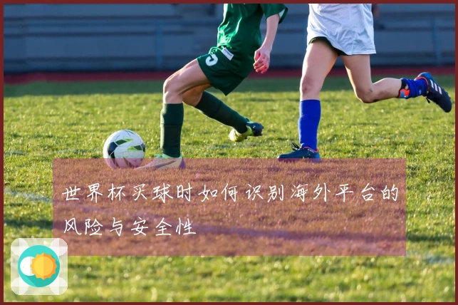世界杯买球时如何识别海外平台的风险与安全性