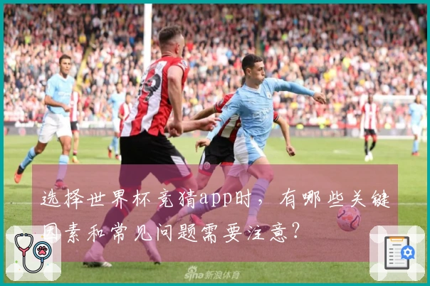 选择世界杯竞猜app时，有哪些关键因素和常见问题需要注意？
