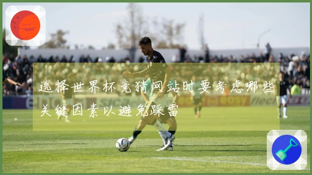 选择世界杯竞猜网站时要考虑哪些关键因素以避免踩雷